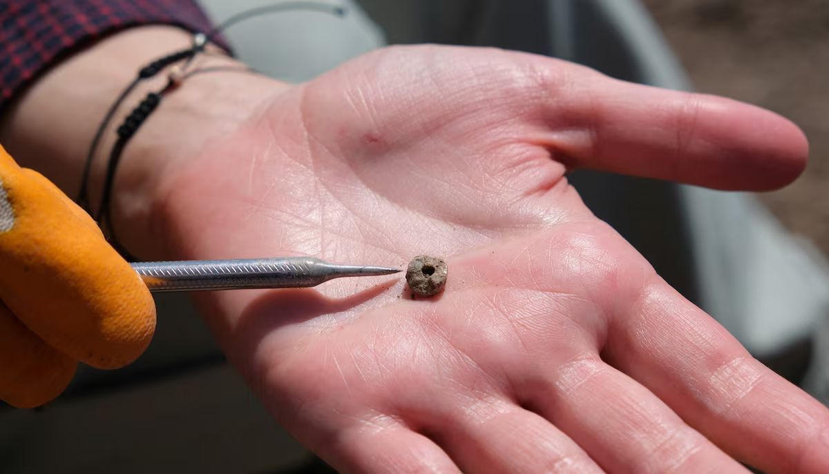 📰 'Ancient humans had piercings just like us' #AntiquityResearch in the news via @Reuters by @ecetoksabay 🔗 buff.ly/3Pqusmz 📷 @EmmaBaysal / @AnkaraUni_en