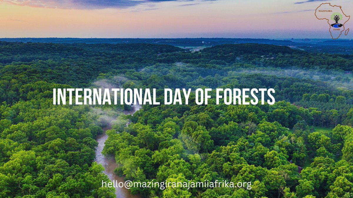 🌲🌳 Today, as we commemorate the International Day of Forests, we unite with global efforts to reaffirm our dedication to the restoration, conservation, and sustainable utilisation of Tropical Forests Landscapes. Happy International Day of Forests! 🌍🌿 #WorldForestsDay 🌳🌲