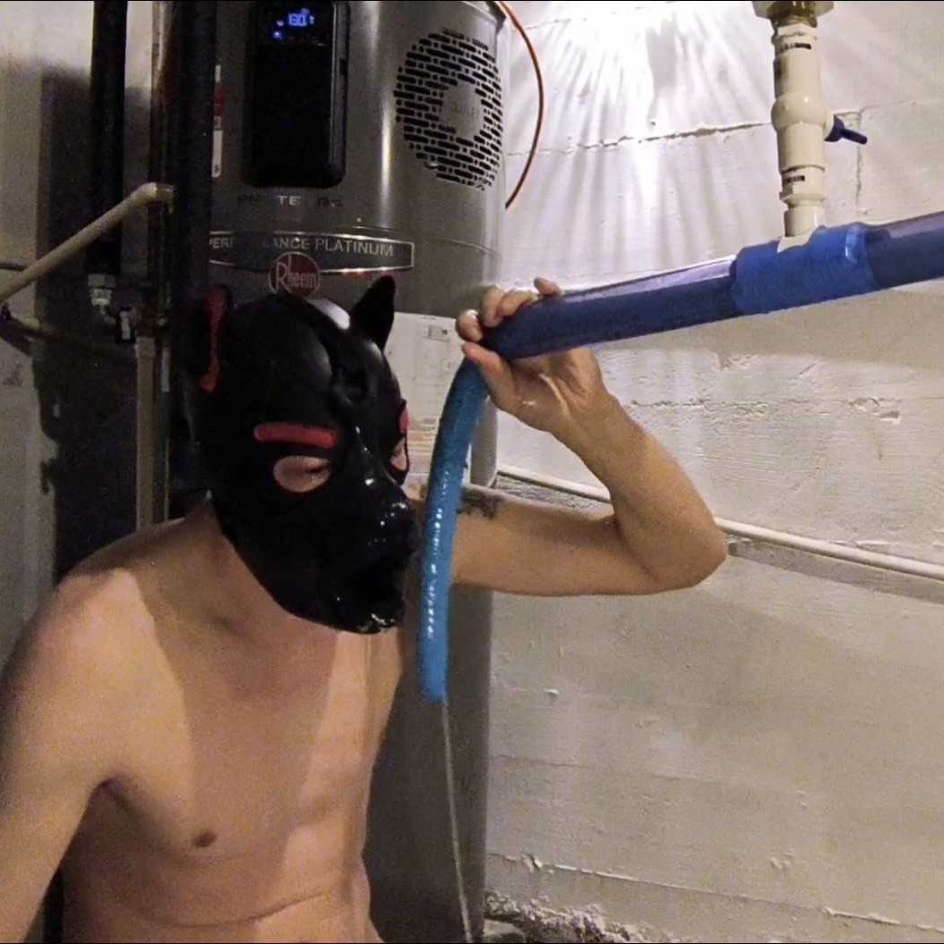 PupSploot's tweet photo. Throat fucking practice with a tentacle on my crazy machine while a pup mask with built-in ring gag holds my mouth open.  The tentacle goes all the way into my stomach!

Shokushu tentacle and half-pup mask by @primalhardwere https://t.co/KrtyBQCxFO