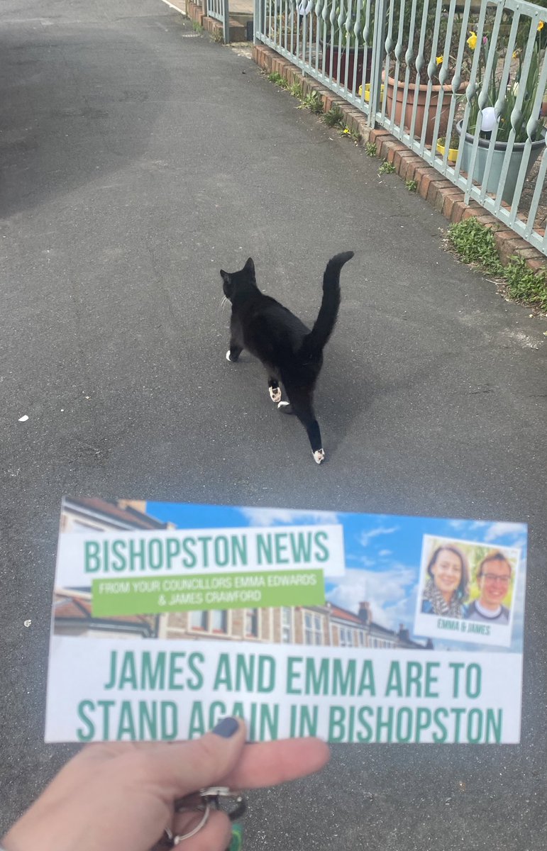 Penny the cat came out with me for an hour today to deliver leaflets to help get the fabulous Cllrs @bristol_pip and @James_CrBS7 re-elected here in #bishopstonandashleydown 💚💚💚 @bristolgreen @CatWorkers