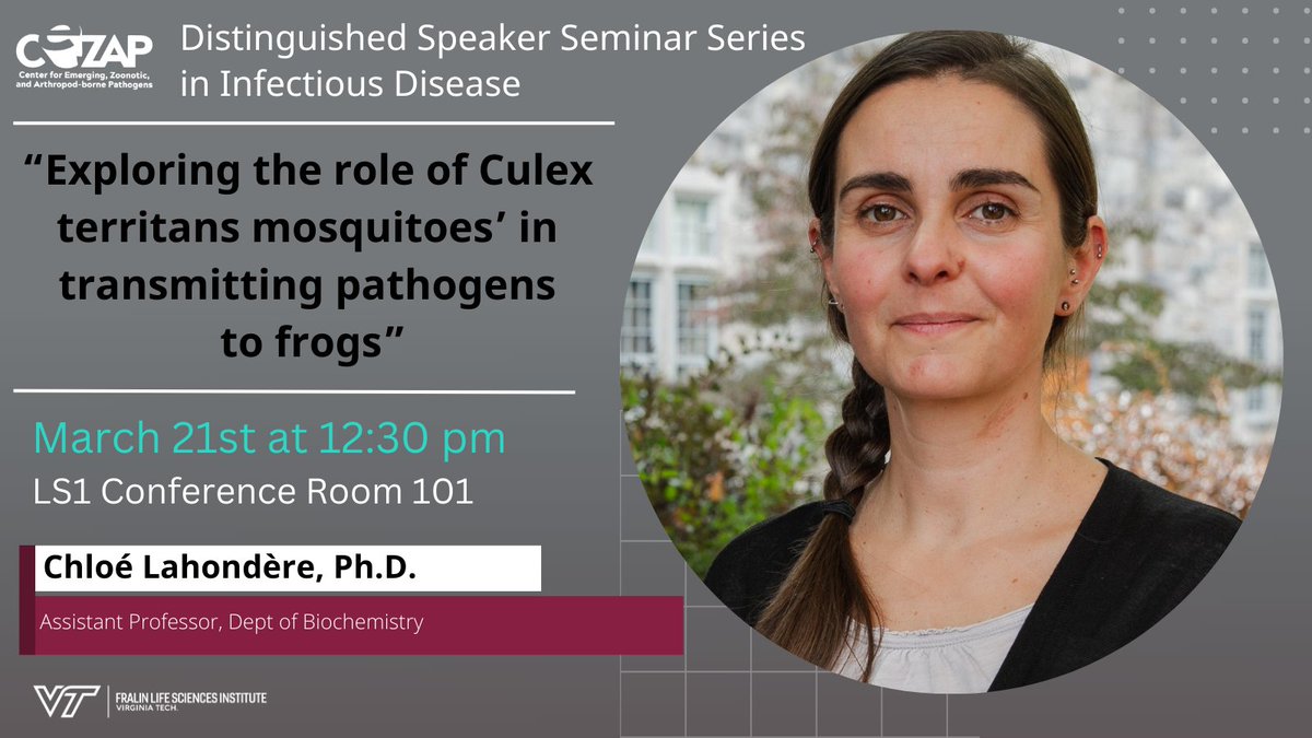 Join us today at 12:30pm in LS1 room 101 to hear <a href="/Lahondere_Lab/">Dr. Chloe Lahondere</a> present ""Exploring the role of Culex territans mosquitoes’ in transmitting pathogens to frogs"