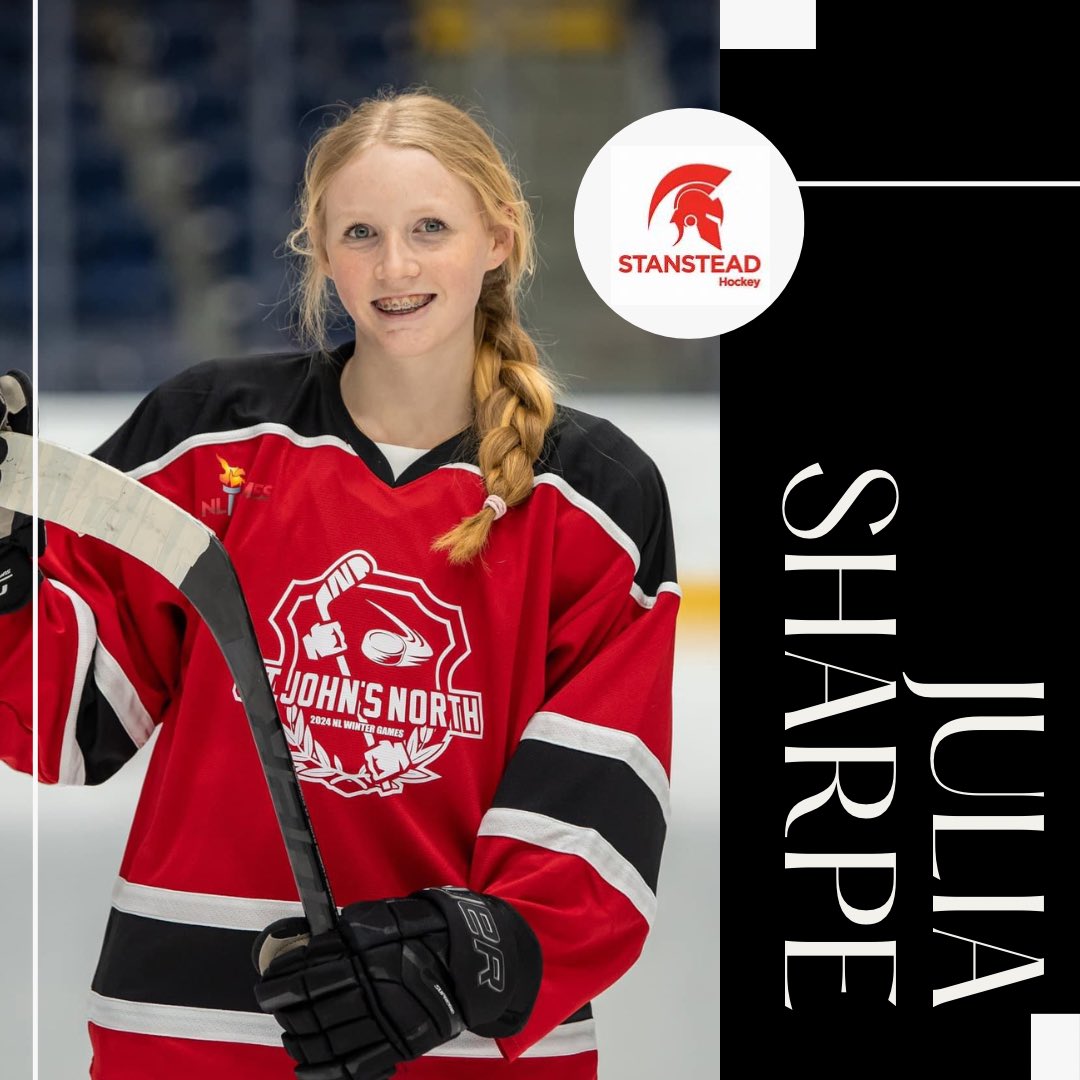 Vision Hockey Group tweet media