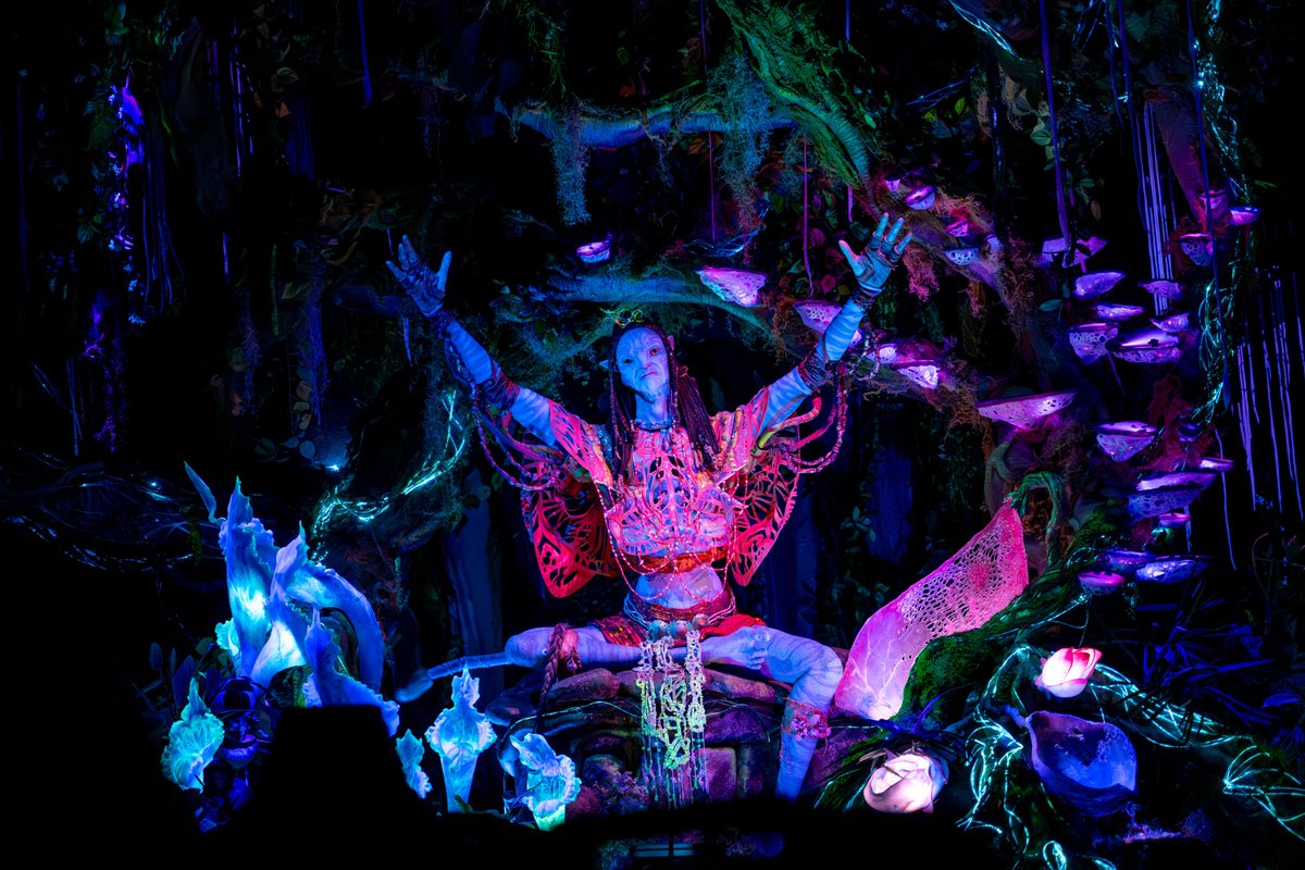 Aventúrate a través de la exuberante selva bioluminiscente de Pandora y descubre la belleza de la Pandora – The World of Avatar, en el Parque Animal Kingdom de @WaltDisneyWorld ✨ 

¿Con quién irías? #AnimalKingdom #DisneyDestinos