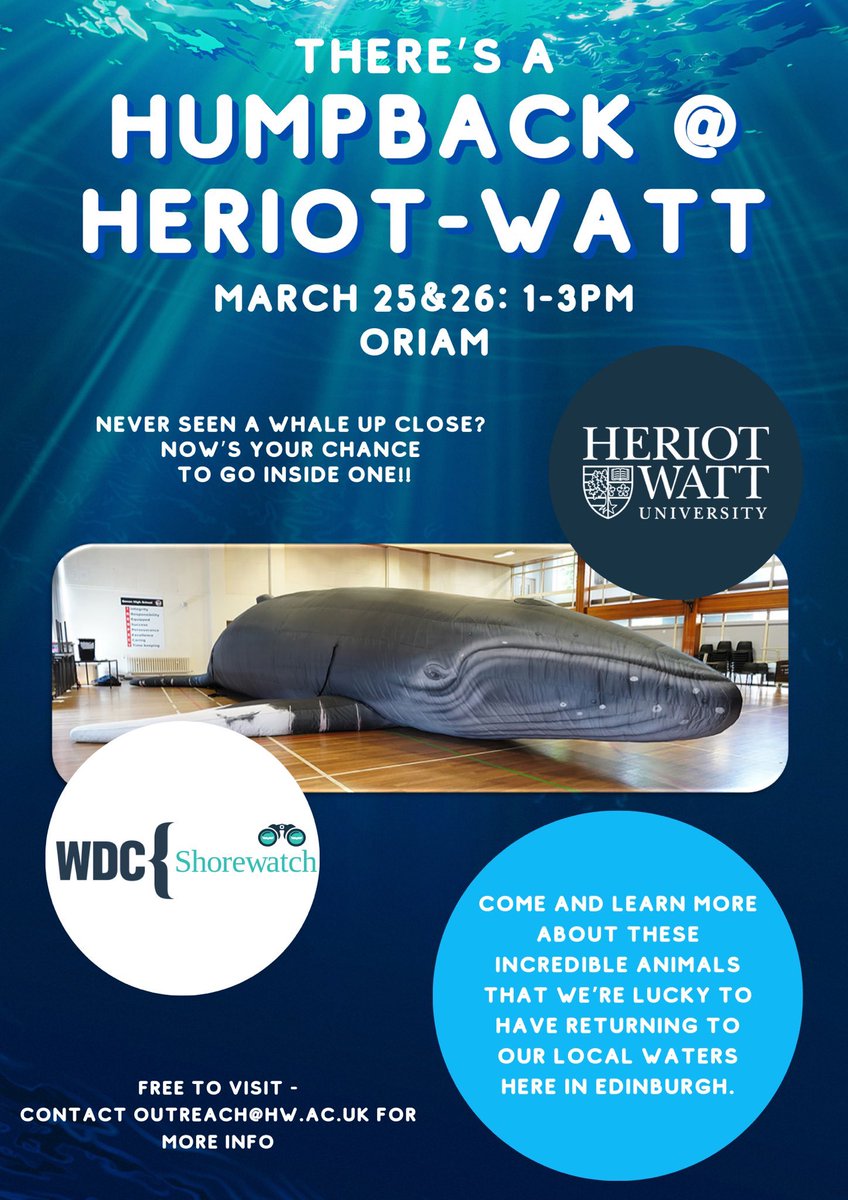 It’s ‘whaley’ exciting we have a humpback coming to visit @HeriotWattUni please feel free to drop in a learn more about these amazing animals and the research we’re doing to help support their conservation 🐳🚤🚢🗺️