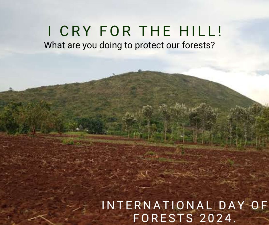#forestday2024 
#WeAreVCA 
<a href="/simonwachira/">Simon Wachira</a> 
<a href="/fredots/">Fredrick Otieno</a> 
<a href="/hivosroea/">Hivos East Africa</a> 
<a href="/PacidaKenya/">PACIDA</a>