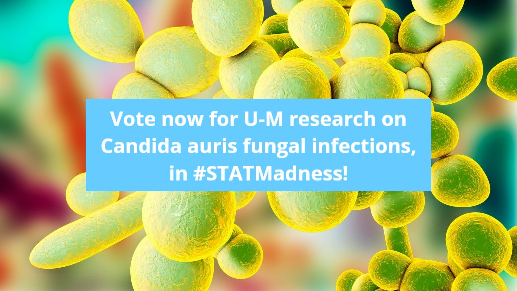 4 were selected. 1 remains. We're so proud of the three teams selected for #STATMadness from @UM_IHPI @UMRogelCancer & @umichCVC. Thanks for all who voted for them! Now, we hope every #umich fan will vote for the @UMMicroImmuno paper that's still in it! statnews.com/feature/stat-m…