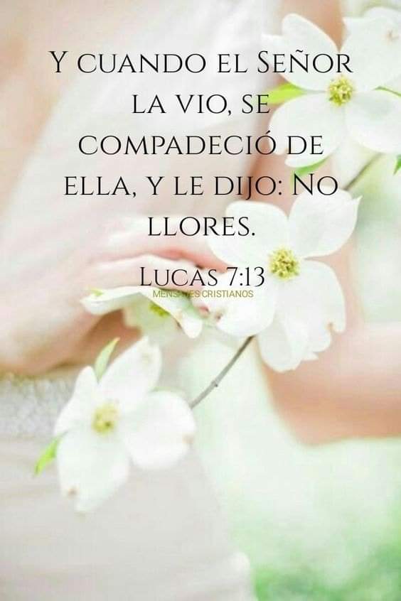 Muy buenos días, excelente jueves que DIOS derrame bendiciones en su vidas 🙌🫂🪻