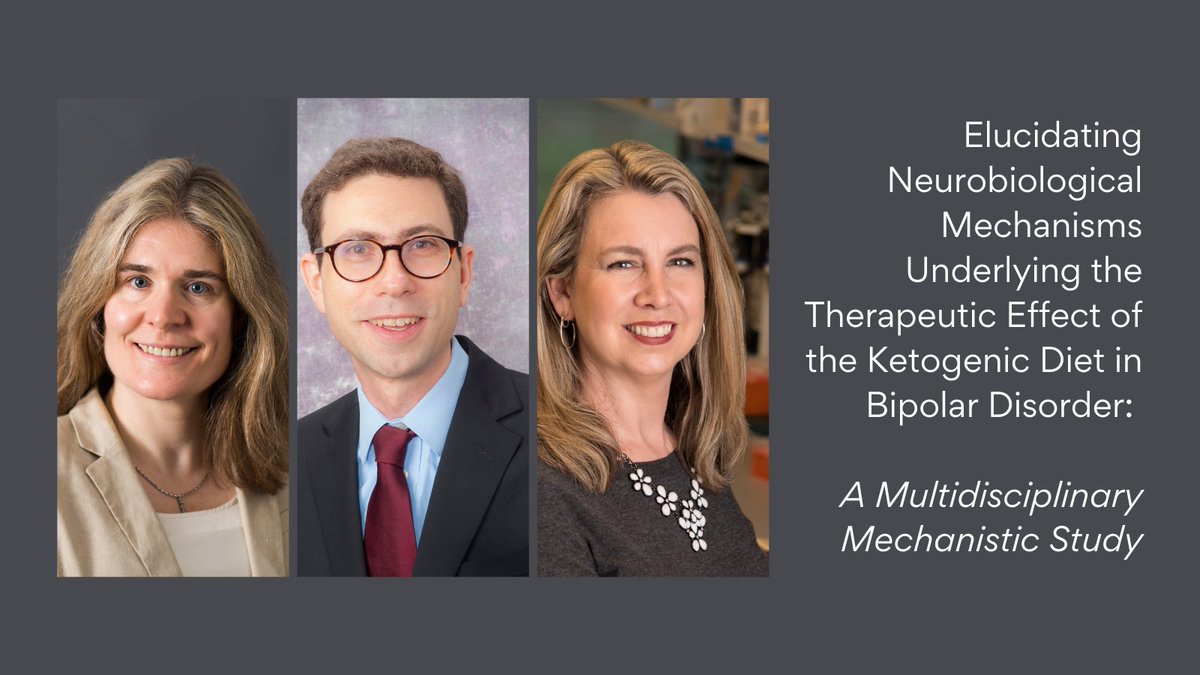 Pitt Psychiatry has been awarded $6M by Baszucki Group to elucidate the neurobiological mechanisms underlying the therapeutic effect of the ketogenic diet in bipolar disorder, with an emphasis on symptoms of hypomania and mania. bit.ly/497LDAh