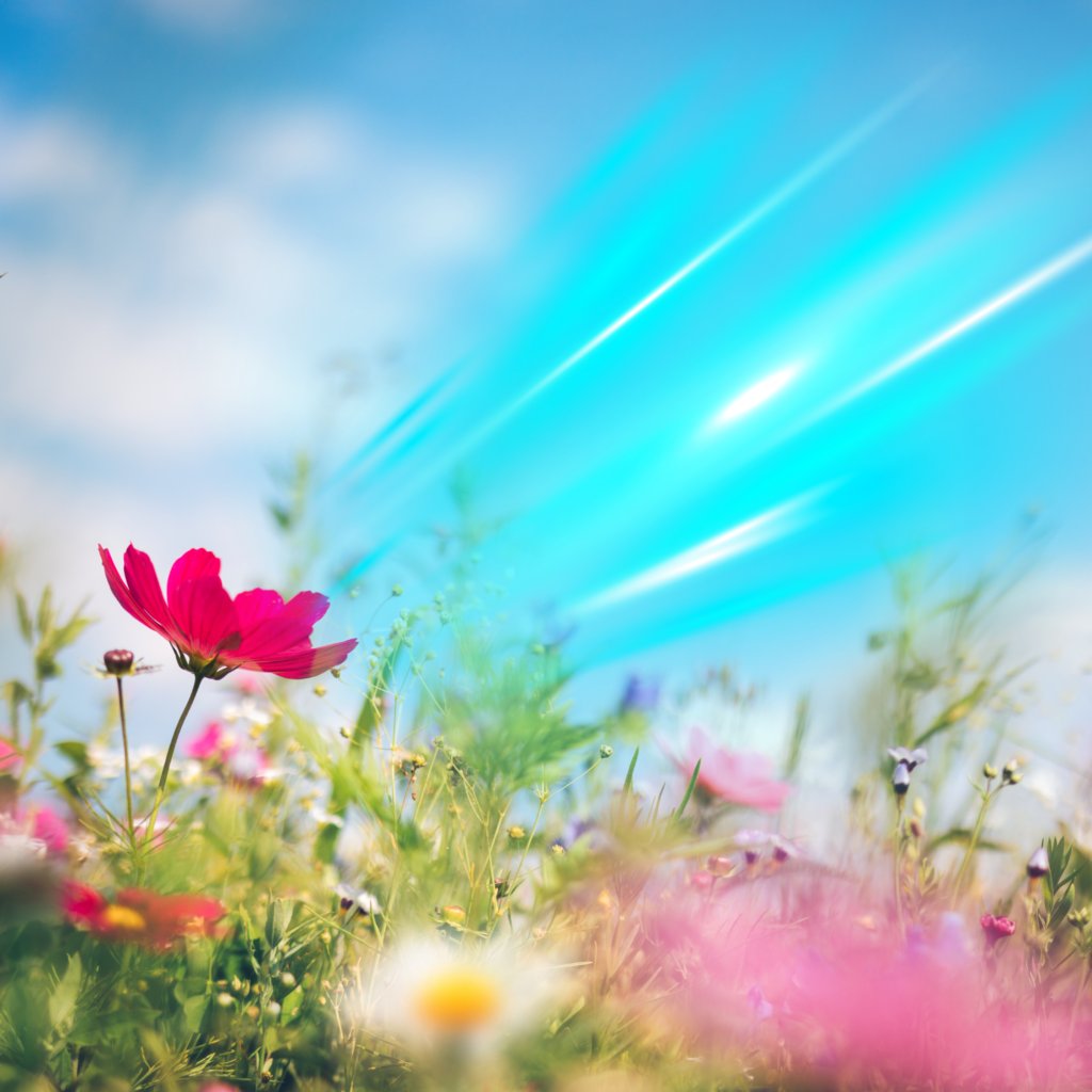 What are your plans for Spring? Is one of them switching to Hull Fibre broadband? Spring clean your connection today! zurl.co/uGMY #spring #internet #fibre #springclean #springtimejoy #springvibes