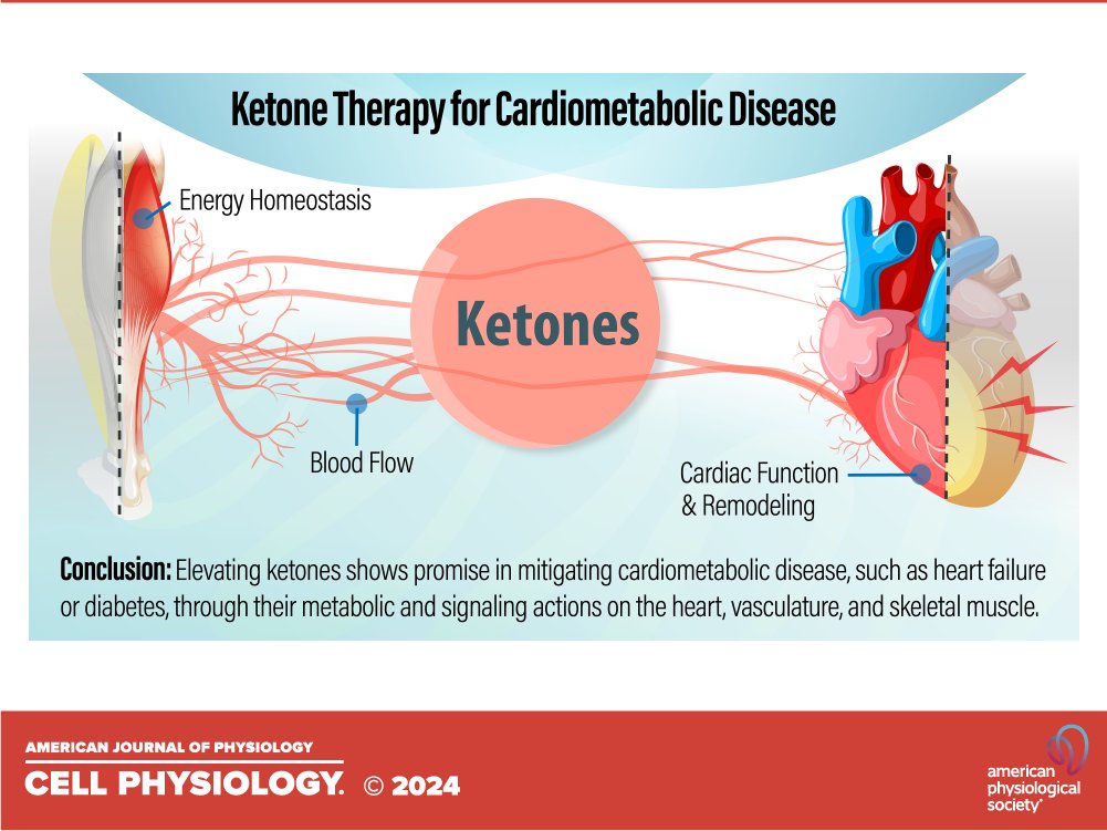 Vern Dolinsky tweet media