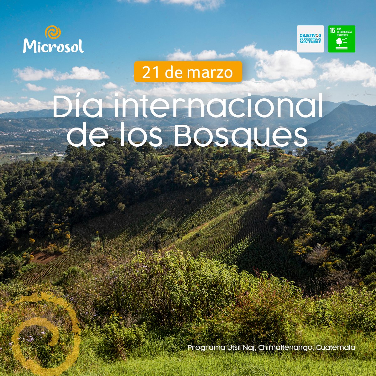MicrosolPeru's tweet photo. 🌍 Día Internacional de los Bosques🌳

Persigamos un futuro más resiliente protegiendo áreas vulnerables y ahorrando leña, como nuestros programas de #CocinasMejoradas en América Latina. Continuemos generando beneficios inmediatos y sostenibles. 🔥

🌐https://t.co/hIBQTphyzn https://t.co/3HlTjHRanY