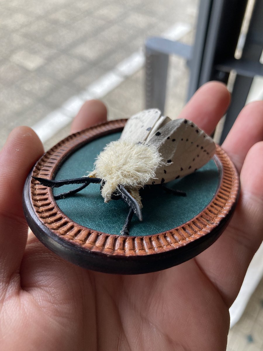 cokecoleather's tweet photo. オーダーで作ったキハラゴマダラヒトリのブローチです。
正面からではわかりにくいですが、立体のキハラゴマダラヒトリが乗ってます。
とても可愛いくできました。
キハラゴマダラヒトリさんとてもオシャレで作っていてとても楽しかったです。 
オーダーしてくれた方も喜んでくれたので良かったです！ https://t.co/L6ViuiPYl6