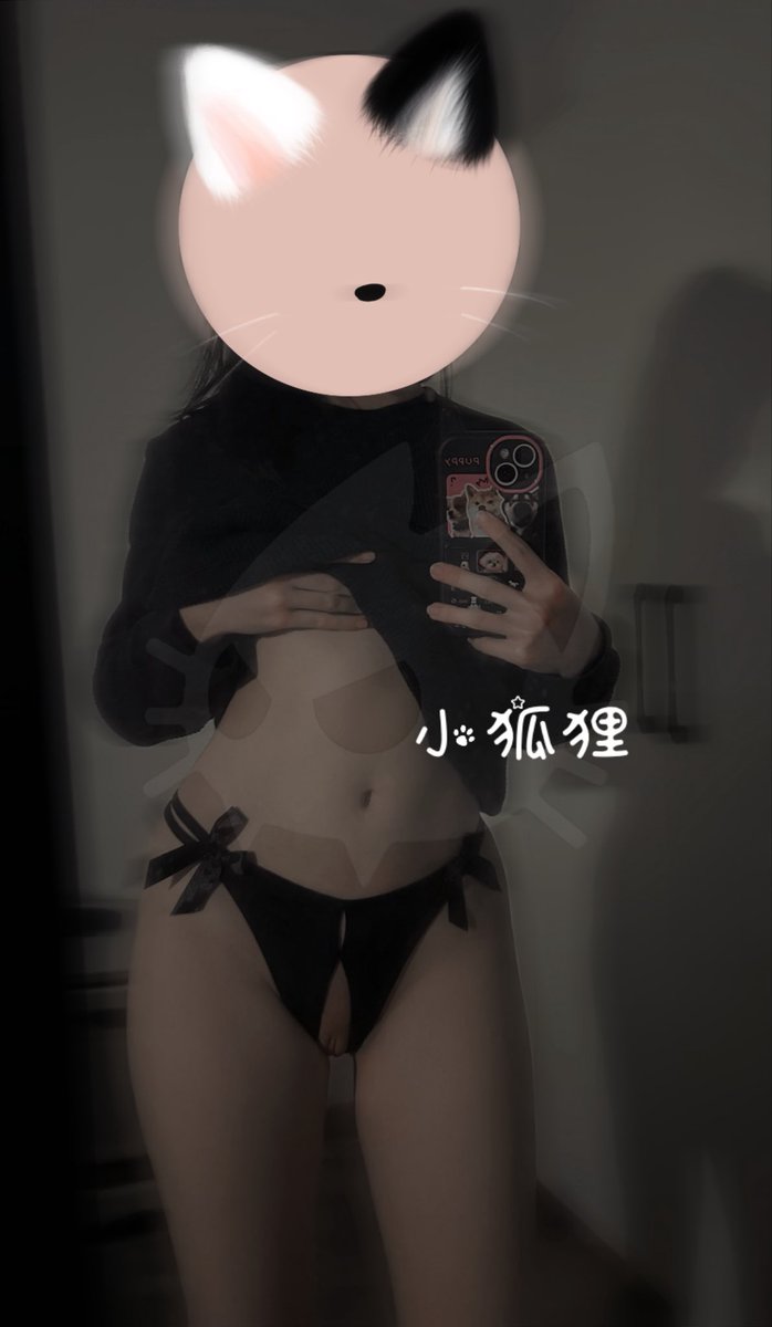 小狐狸 tweet media