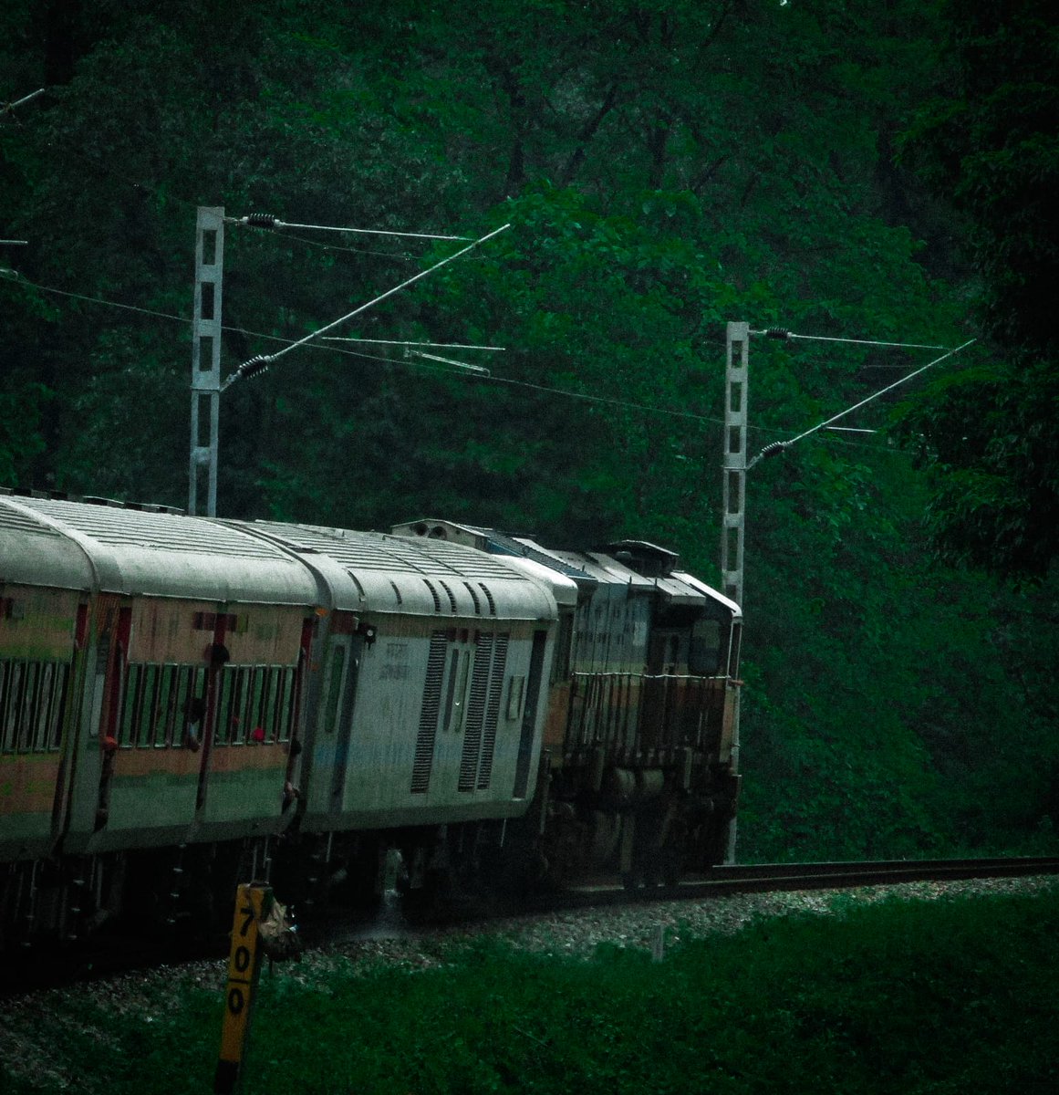 #InternationalDayofForests !!

Inframe - SGUJ #WDP4D led #Kamakhya Jn bound #CAPITAL Exp curves through the #ChapramariWildlifeSanctuary !

#NFRailEnthusiasts 
@drm_apdj | @RailNf |@RailMinIndia