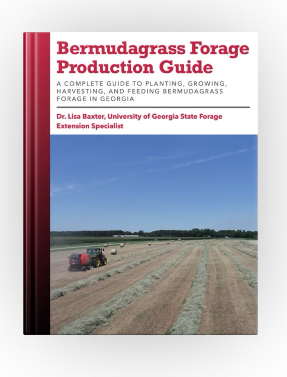 Are you looking for a little light reading on #bermudagrass for #AgLiteracyDay? Check out our new guide available online! You can download for free on Apple Books! books.apple.com/us/book/bermud… (I hope this link works…) #GaAgWeek #UgaExtension @CropSoilUGA @gaforages @UGATifton