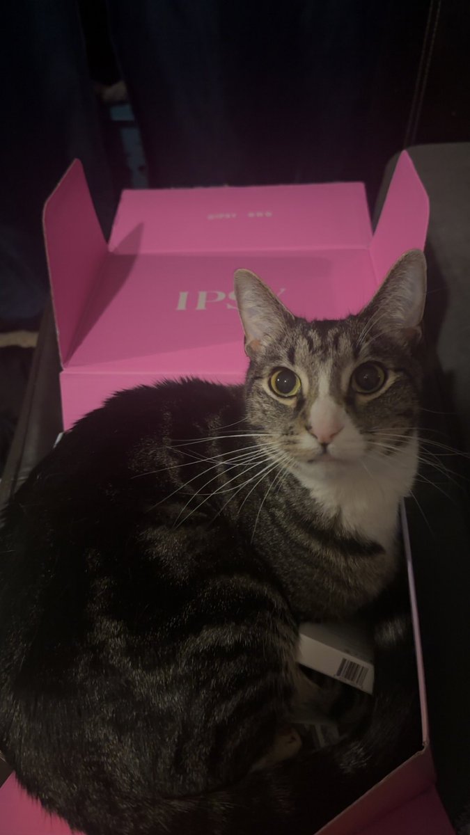 babayyyj's tweet photo. @IPSY it’s not just for me, it’s for him too 🙌🏼❤️ https://t.co/FLJFl2YaMn