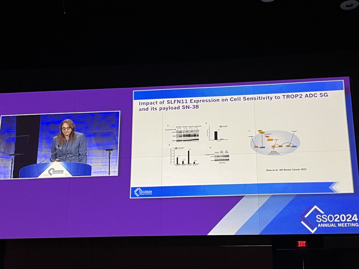 SSO 2024 has begun! My first stop-bench to bedside translation through tram science. Optimize therapy by modulating targets including increasing target expression and sensitivity to therapy 🔬#precisiononcology #benchtobedside #teamscience @SocSurgOnc #SSO2024