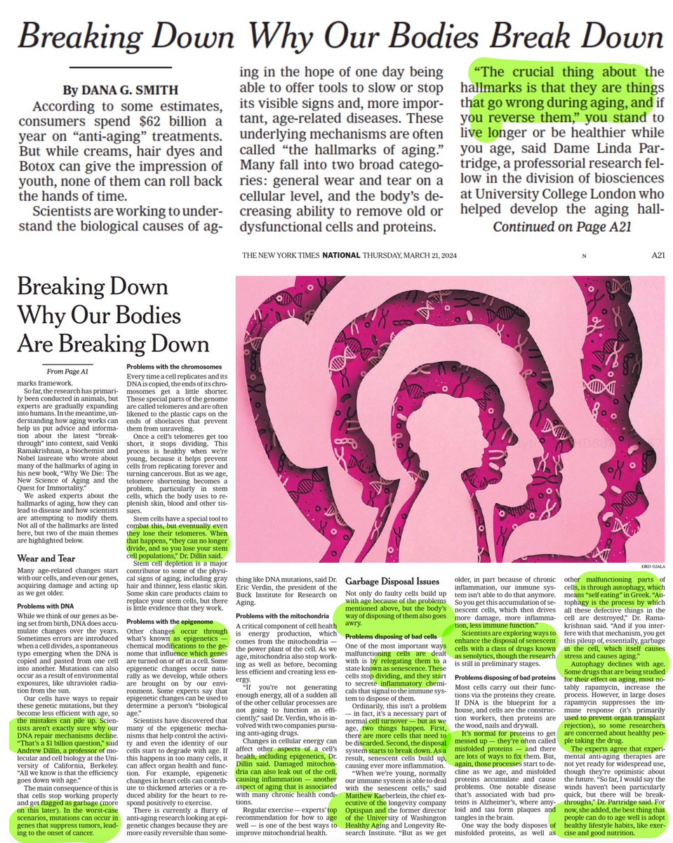 On science of aging, front page @nytimes nytimes.com/2024/03/20/wel… by @SmithDanaG
