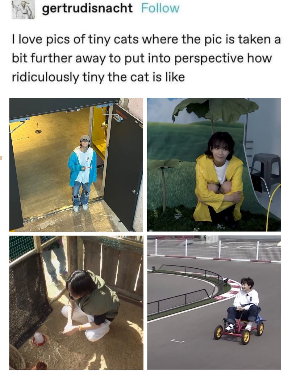 ً (@dinobabey) on Twitter photo 