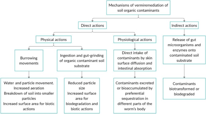AGRI_AIDE's tweet photo. J Health Pollut. 2021 Mar
Published online 2021 Feb 25

Efficacy of Vermiremediation to Remove Contaminants from Soil
https://t.co/KiNGZWLE3F

Figure 2
Earthworm actions in remediation of organic contaminants

Figure 3
Overview of earthworm mechanisms in metal remediation

#Soil https://t.co/1ps79rV6hX