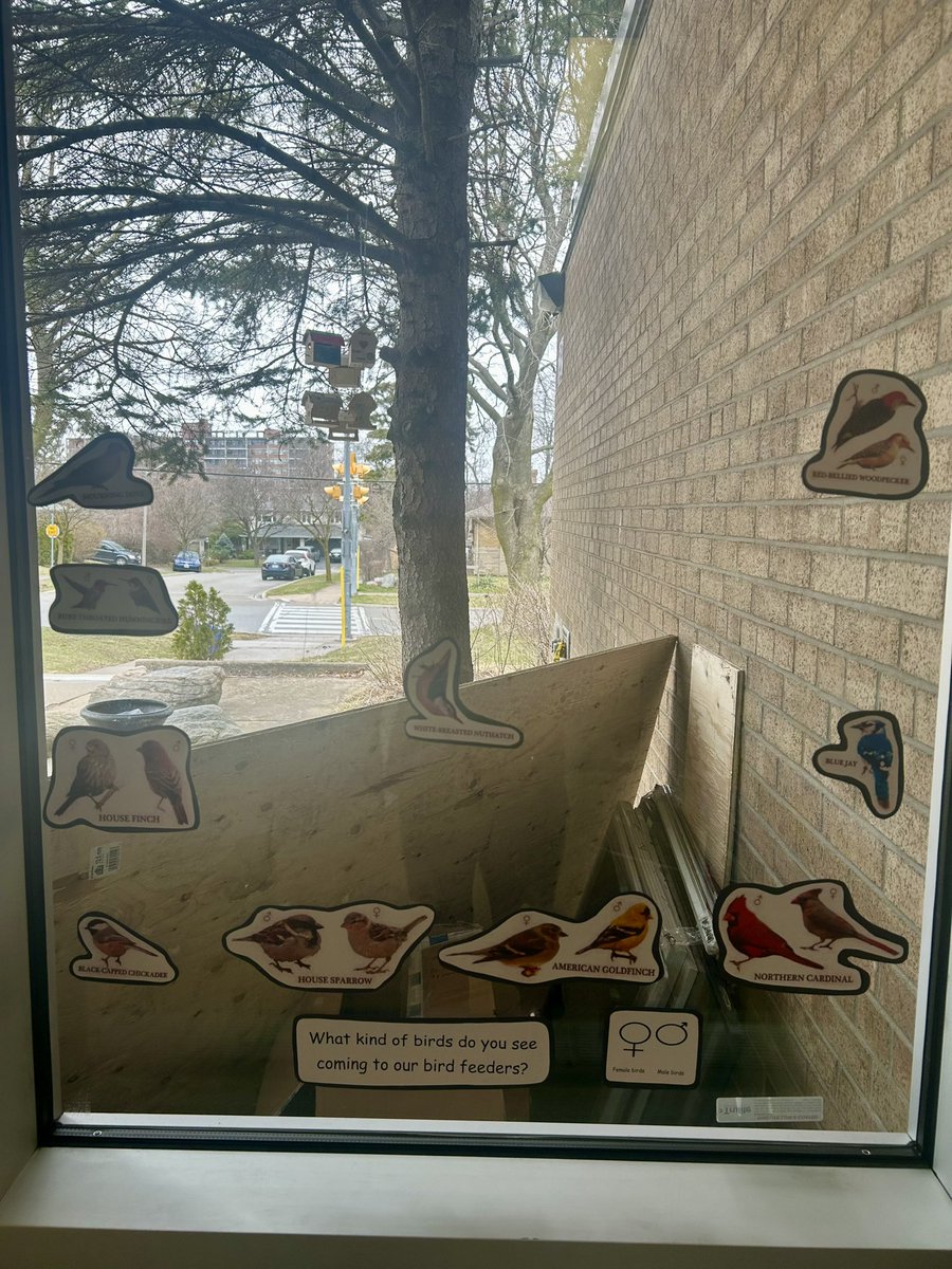 Valleyfield J.S. tweet media