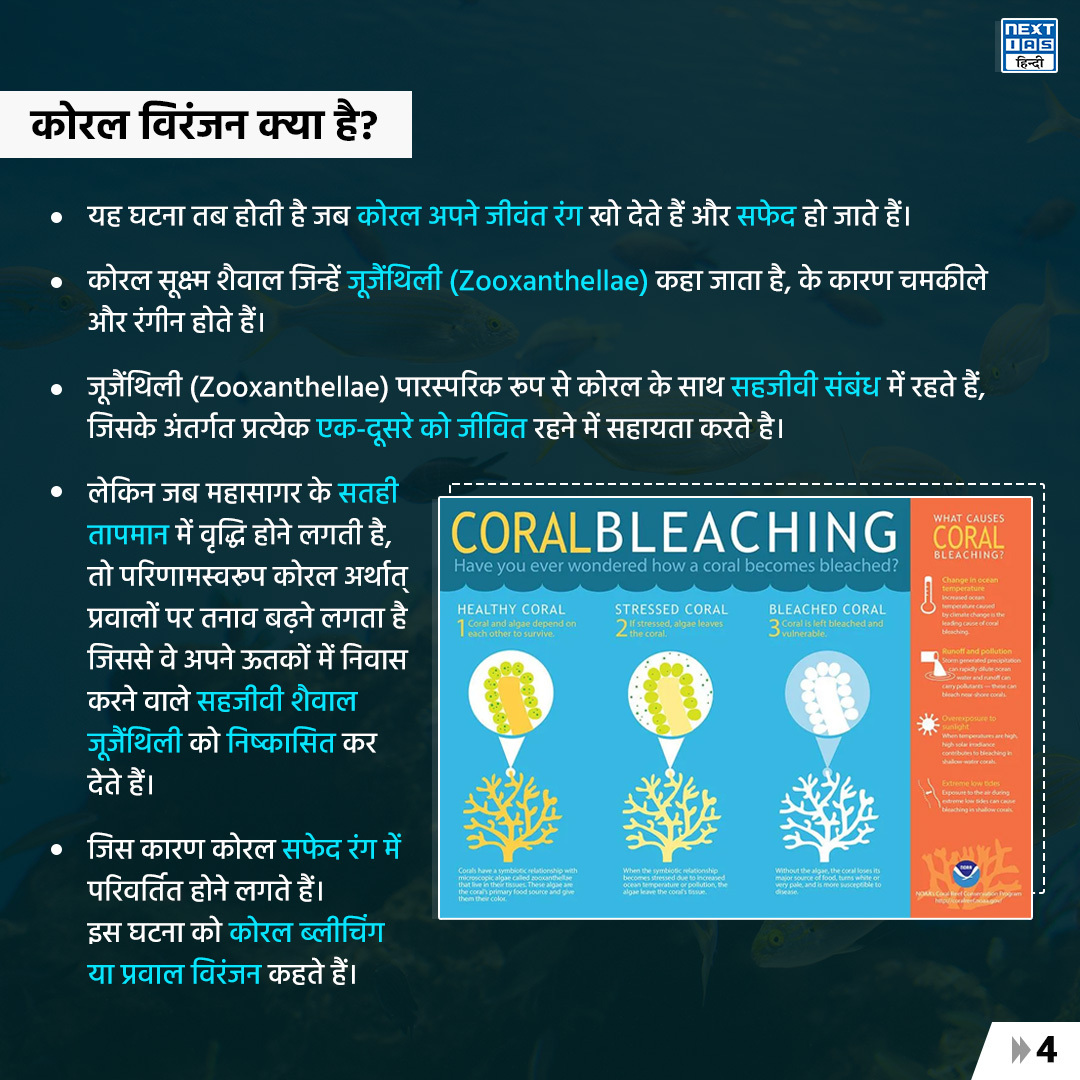 NEXTIAS_HINDI's tweet photo. "डेली रीकैप"
जानिए "पाँचवी बार बड़े पैमाने पर कोरल विरंजन" का विस्तार से विवरण।
.
#dailyrecap #topicoftheday #coralbleachingevent #fifthmass #ocean #oceans #environment #Environmental #environmentchanges #zooxanthellae #underwater #science #nextias #nexiashindi https://t.co/CWBtAFDewP