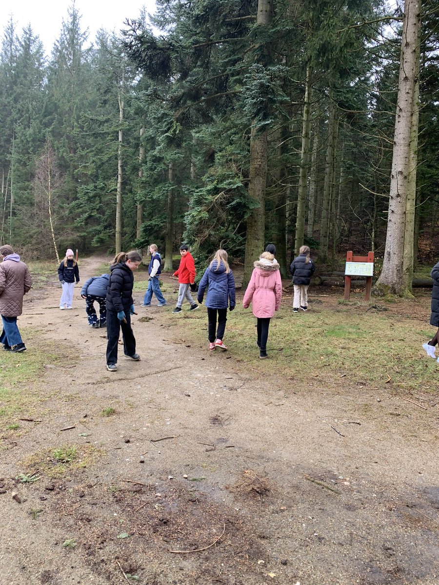 Denmark Day 5. Forest activities, followed by a farewell party later this evening.