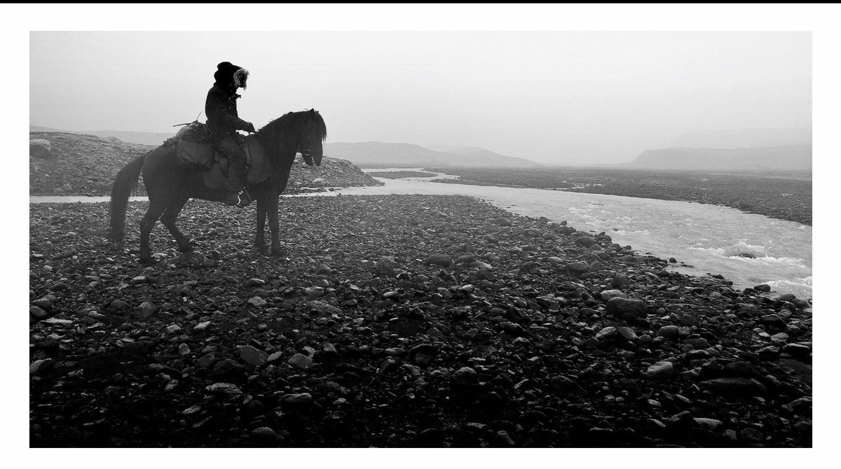 Haydenbarton_39's tweet image. #SellZSJLToNetflix