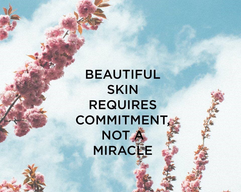 Vida Spa tweet media