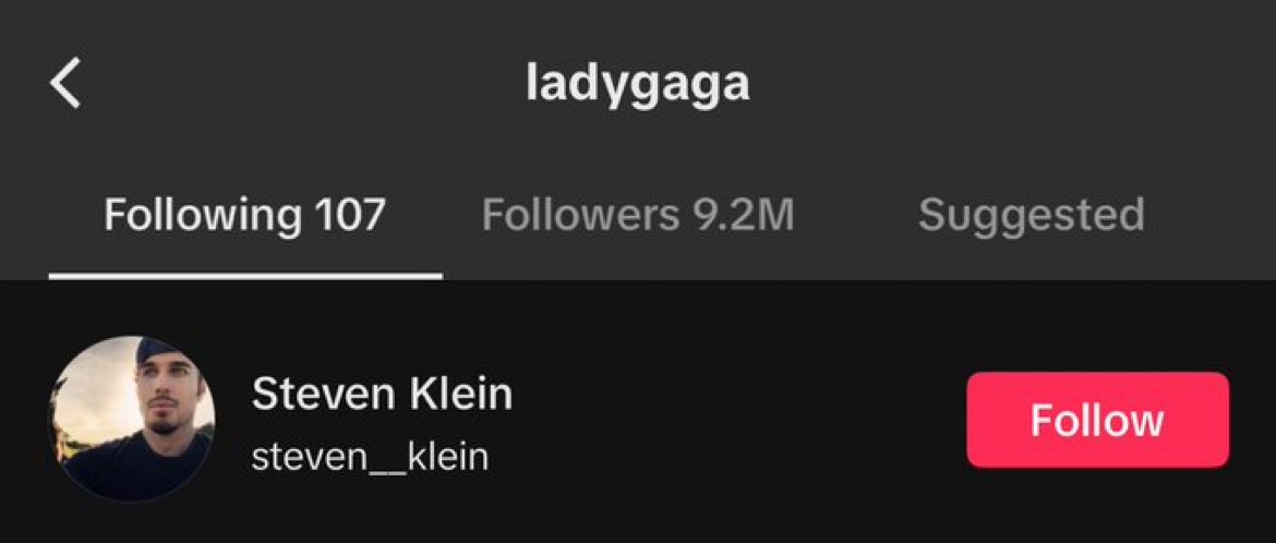 .@ladygaga followed Steven Klein on TikTok.