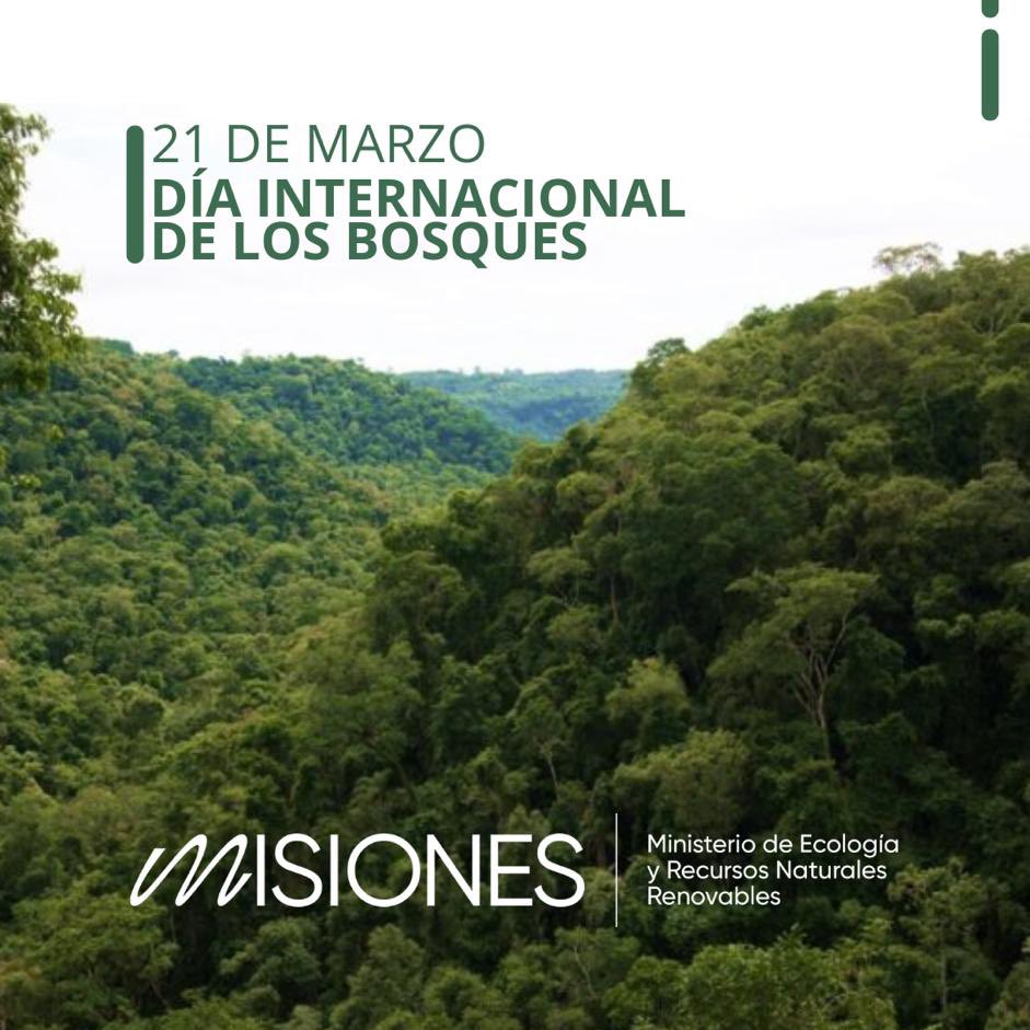 🌳 Los bosques son los pulmones de nuestro planeta, brindándonos oxígeno, hogar a una gran biodiversidad y combatiendo el cambio climático.
En este Día Mundial de los Bosques, tomemos acción para protegerlos. 💪🏼
Juntos podemos crear un futuro más verde y sostenible para todos. ♻️