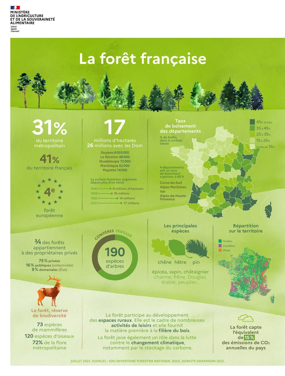 Agri_Gouv's tweet image. #JIF2024 | La forêt 🇫🇷 abrite 72% de la flore métropolitaine et participe à la lutte contre le changement climatique, notamment par le stockage du carbone. Apprenez-en plus sur celle qui représente 31% du territoire métropolitain dans votre #JeudiInfographie ⤵ #FranceNationVerte