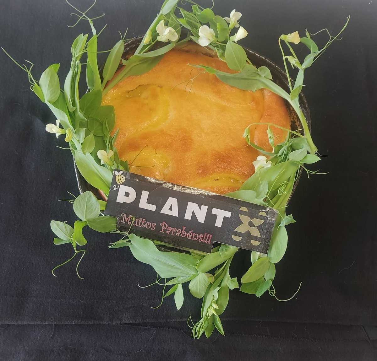 ...and with the Spring arrival, <a href="/PlantxL/">PlantX Lab</a> is already 9! 🎉🎂#Lathyrusochrus thematic cake to celebrate!!!! <a href="/greenit_bio4sus/">GREEN-IT</a> <a href="/itqbnova/">ITQB NOVA</a>