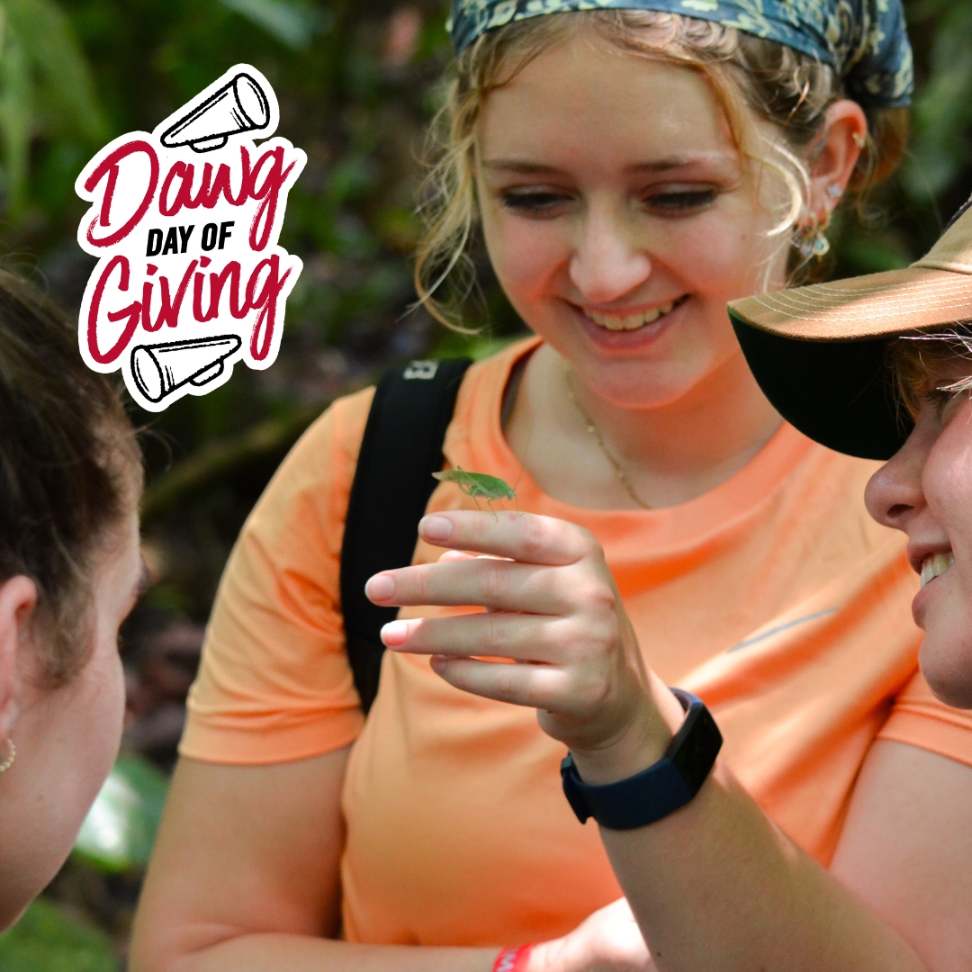 Leaf it to us to make a buzz for #DawgDayofGiving! 🍃🐞 Mark your calendars for March 26th and let's stick together to raise 100 gifts to the Ecology Student Excellence Fund, giving our future ecologists the wings they need to soar. 🌿 🌱 t.uga.edu/9M8