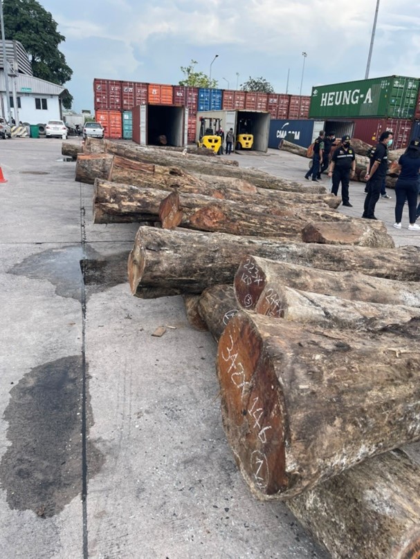 As we mark #IntlForestDay2024, the #WCO underscores the importance of #Customs in dismantling criminal networks involved in illegal timber trade. With innovative technologies & international cooperation, we're committed to preserving our forests for generations to come.
