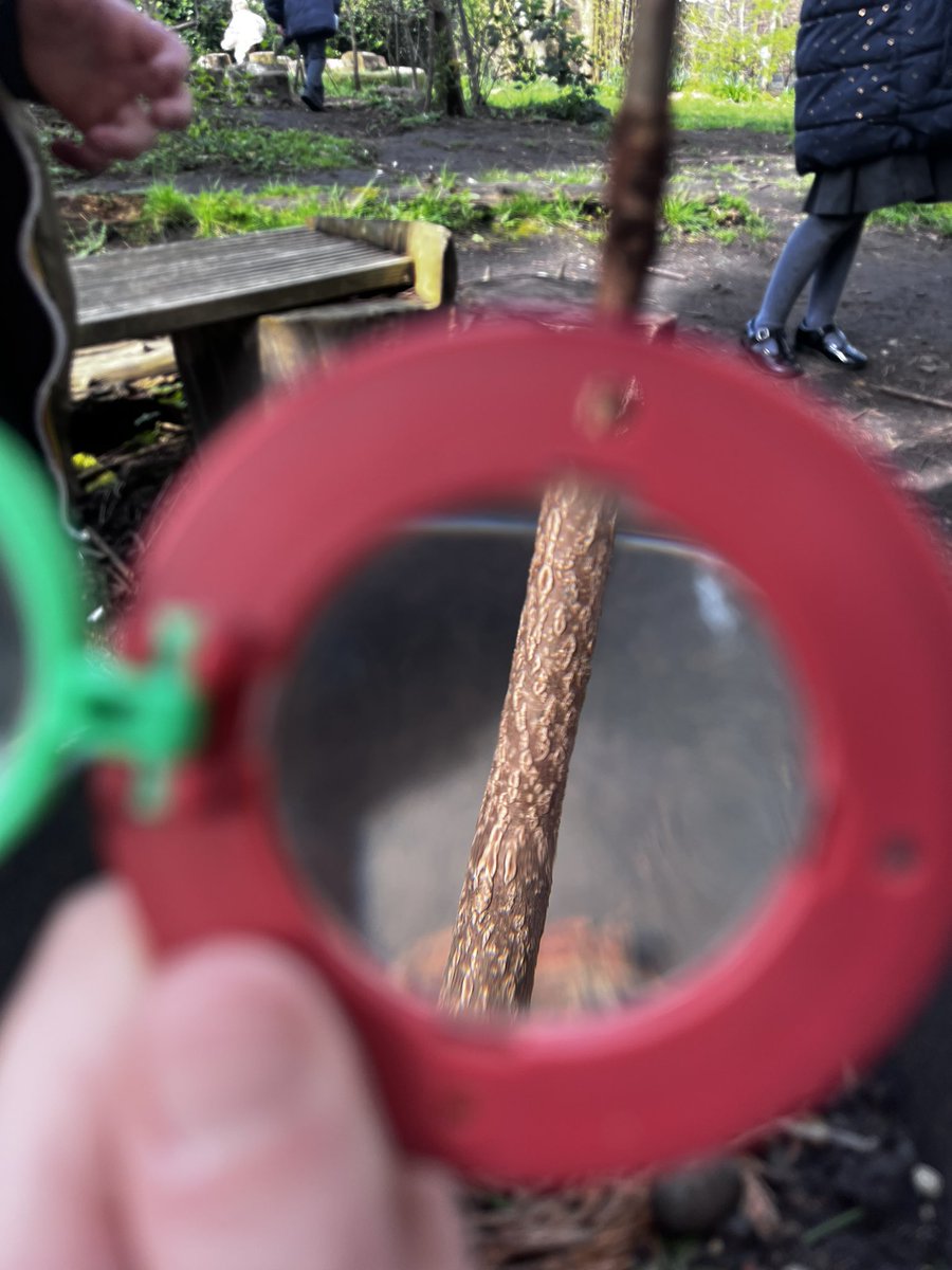 Noticing changes in forest school today…. Spring is here #BPSYR