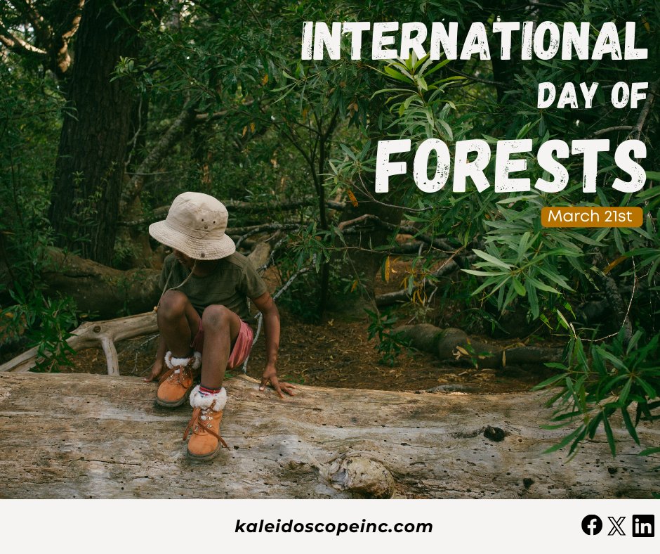 Happy International Day of Forests! 🏞️ What are some ways you can promote a love of the forest and nature at your camp?

#KaleidoscopeInc #IntlForestDay #ForestDay