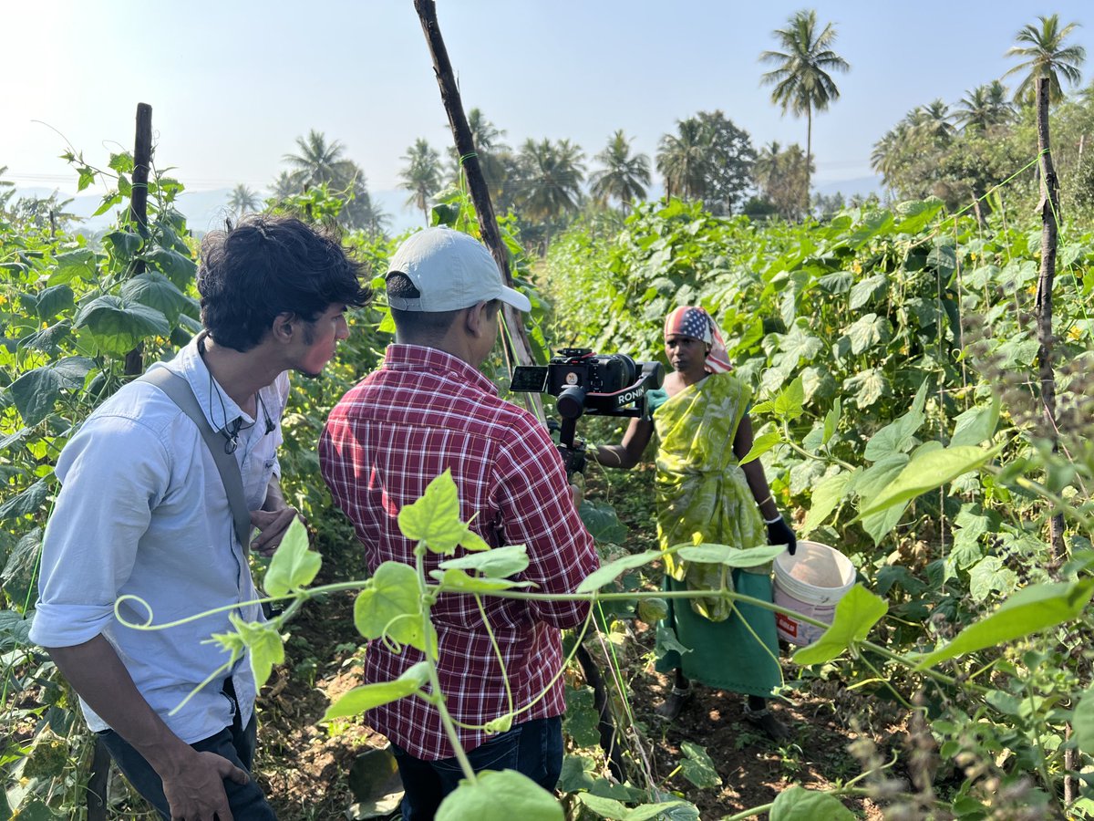 Filming with Sumathy as in cucumber fields in Tamil Nadu.She’s part of a study published in ⁦@BJOGTweets⁩ which suggests women working in extreme heat face X2 risk of still birth and miscarriage. She sadly low her baby at 12 weeks. bbc.co.uk/news/world-asi… ⁦@tomrockr⁩