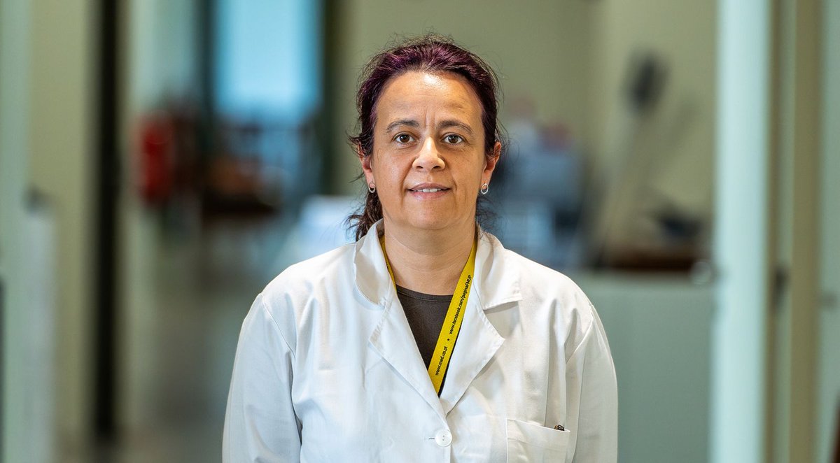 Joana Marques da @FMUPorto está a estudar os efeitos da técnica de criopreservação utilizada em laboratórios de reprodução medicamente assistida nos marcadores epigenéticos dos espermatozóides. buff.ly/43iCH9S #90SegundosCiência