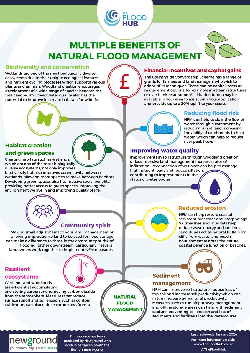This #InternationalDayOfForests were celebrating forests as #NaturalFloodManagement #NFM has multiple benefits 💧Reduce #flood risk & erosion ✅Water quality 🦋Biodiversity & ecosystems 🌳Habitat creation& green spaces 👥Community spirit Read more on NFM: thefloodhub.co.uk/nfm/#section-4