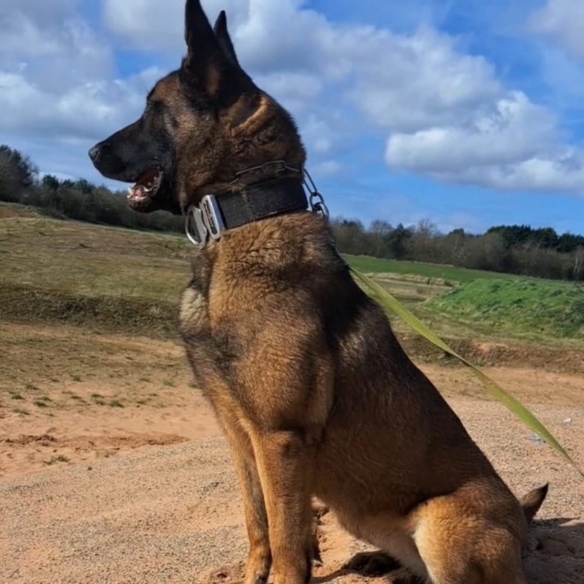 Grit, determination, patience and a little game of hide and seek resulted in one male arrested for theft offences and stolen property recovered for PD Jax and handler following a lengthy search in Warrington last night