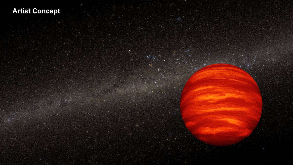 A Hubble survey has found that brown dwarfs—objects smaller than stars but bigger than planets—live a lonely life as they age. Over time they lose the companion brown dwarf that was born alongside them as they drift their separate ways: bit.ly/43h3Mu5