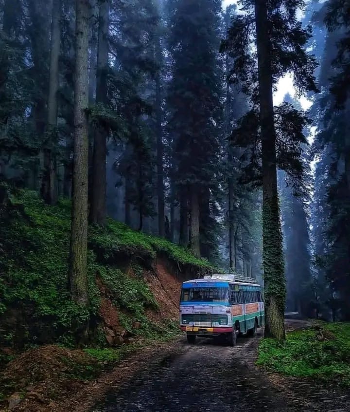 Nature + bus = ❤️ in Himachal