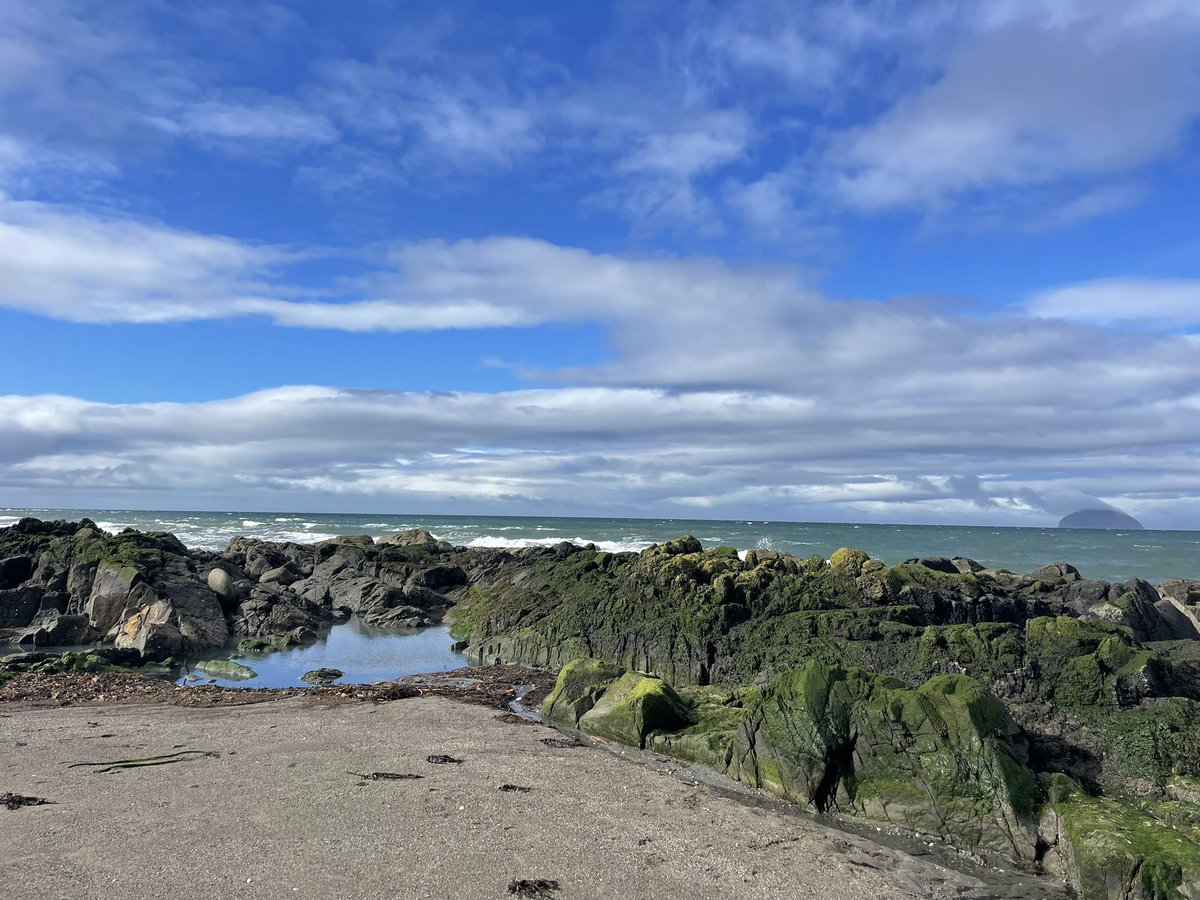 Aisling Dunn tweet media