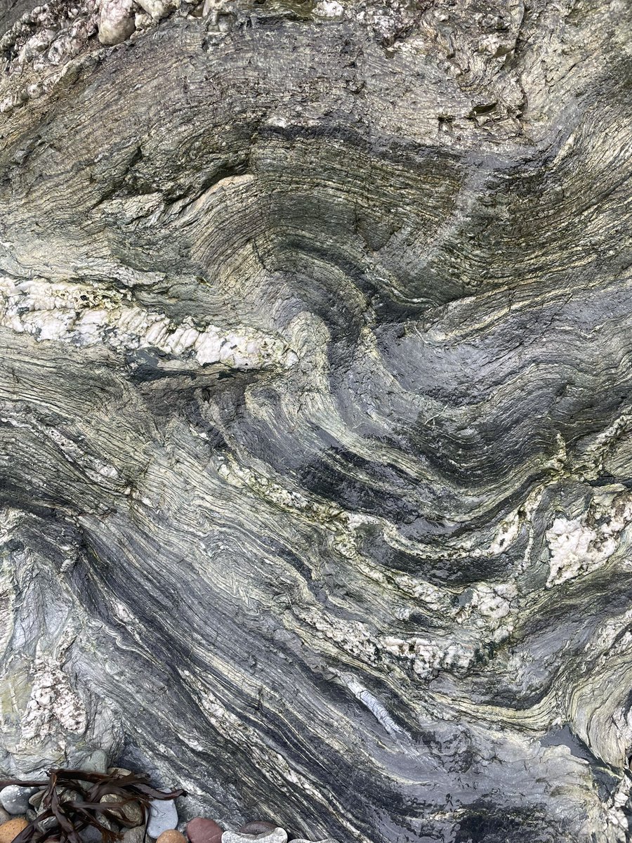 Aisling Dunn tweet media