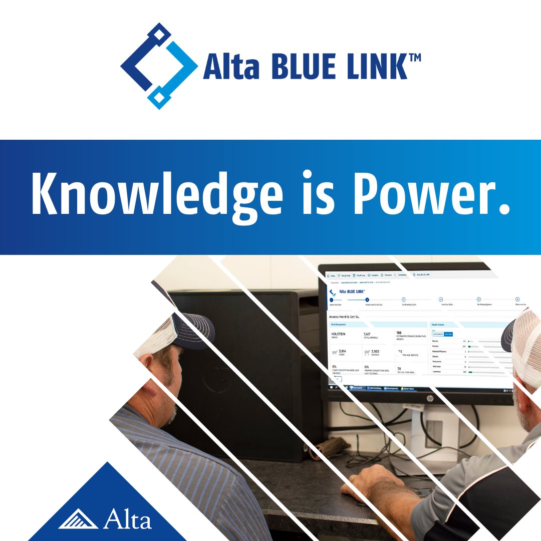 Knowledge is Power.

Alta BLUE LINK is the next-generation genetic decision-making tool. Customize your genetic index, choose the right sires, and optimize your genetic progress all in one place.

#altagenetics #dairymanagement