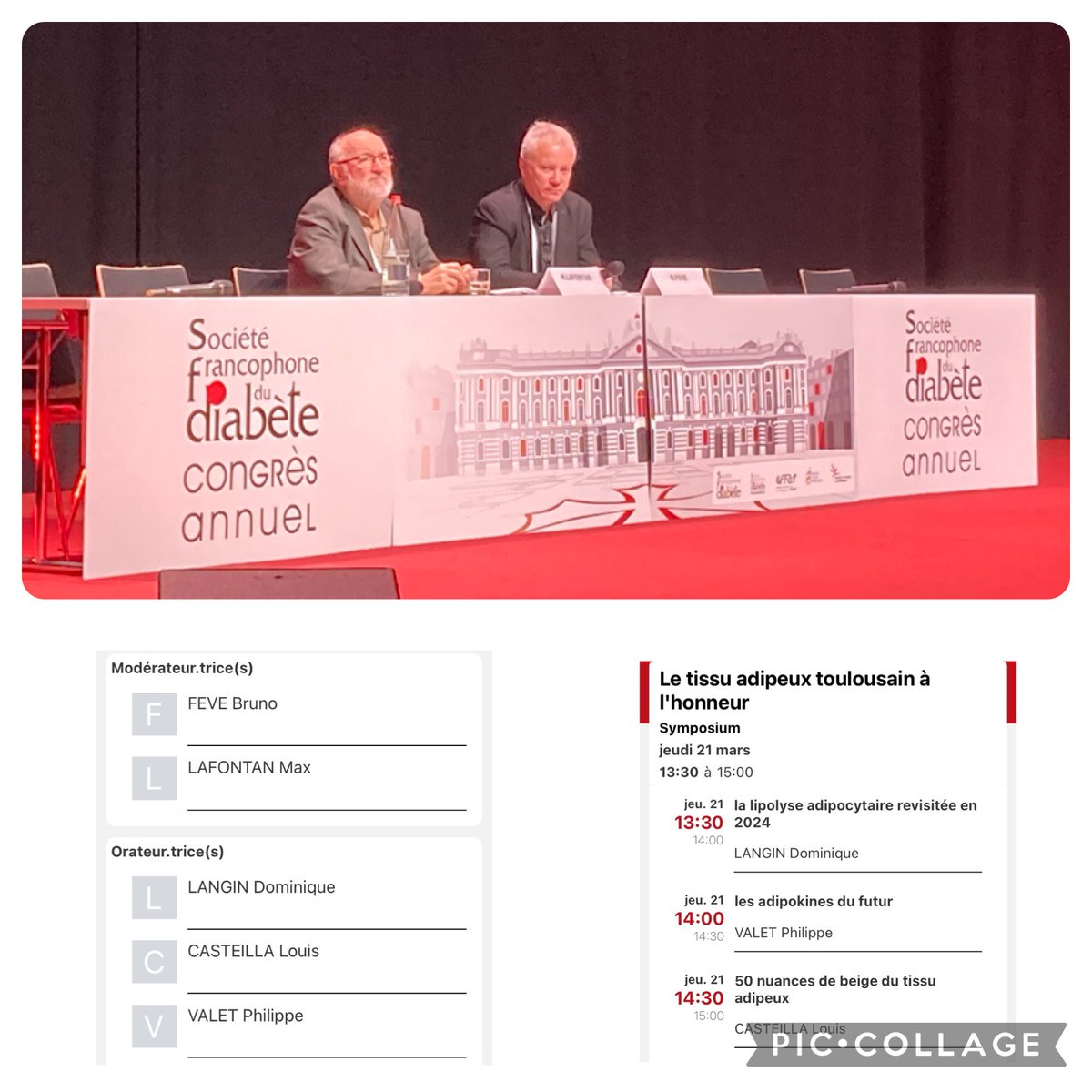 Une très belle session sur le tissu adipeux de l’école toulousaine …bravo ⁦<a href="/SFDiabete/">SFDiabète</a>⁩ ⁦<a href="/FondationFFRD/">Fondation FFRD</a>⁩ ⁦<a href="/AFERO_obesite/">AFERO</a>⁩