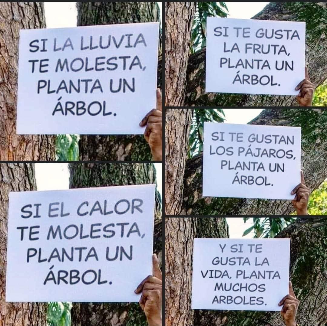 ¡El mensajito del día! 🙏🏻✨