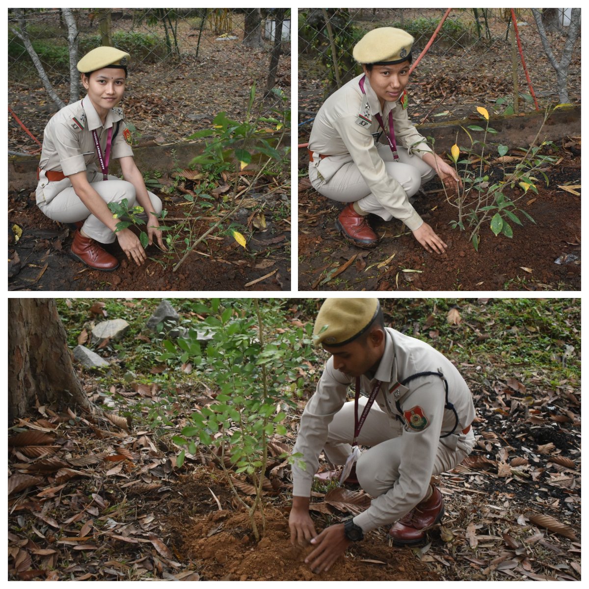 On the International Day of Forests: 2024, Assam Forest School planted fragrant flower saplings on either side of its entrance amidst the first rains of the year. Saplings credit to Guwahati SF Division. @cmpatowary @assamforest