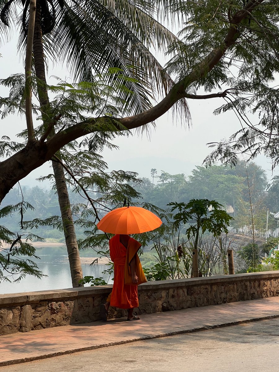 A very colour coordinated monk strolling alongside the Mekong River in Luang Prabang 🧡

#Laos #travel #LuangPrabang #MekongRiver